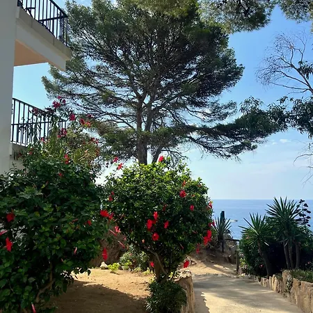 Les Terrasses De Cala Llevado דירה