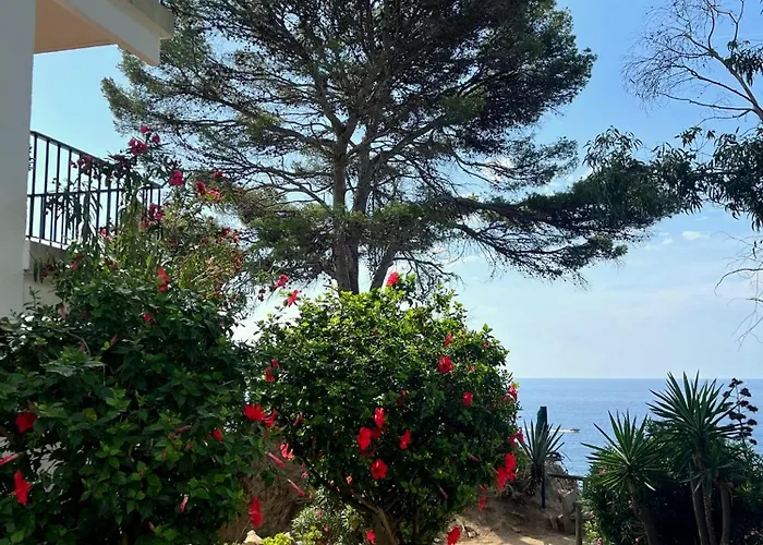 Les Terrasses De Cala Llevado Apartment